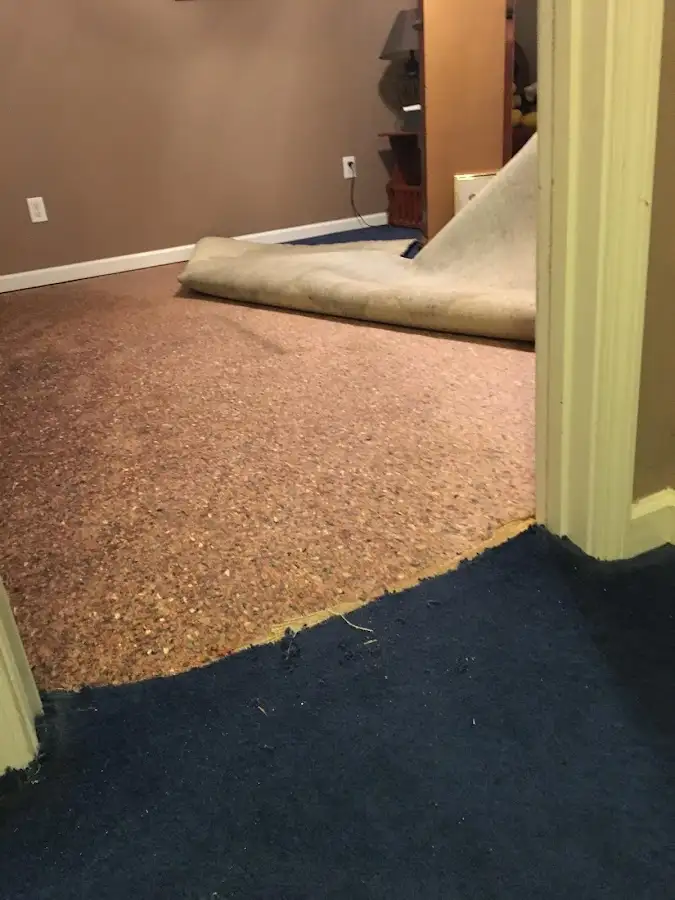 Carpet pad removal revealing water damage during Water Mitigation Services in Golden