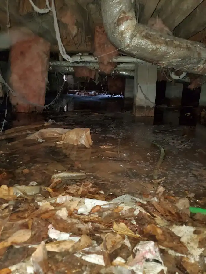 Crawl space flood assessment for Leak Detection & Repair in Golden