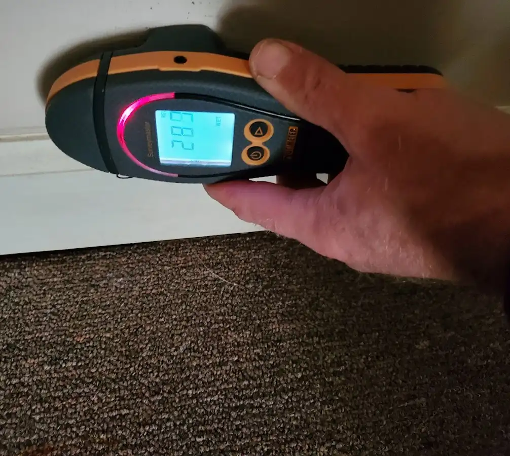 Moisture detection at baseboard during Sewage Cleanup & Sanitation in Golden